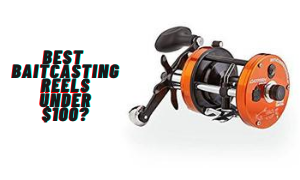 Best Baitcasting reels under $100 Reviews