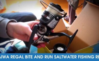 Daiwa Regal Bite and Run Saltwater Fishing Reel