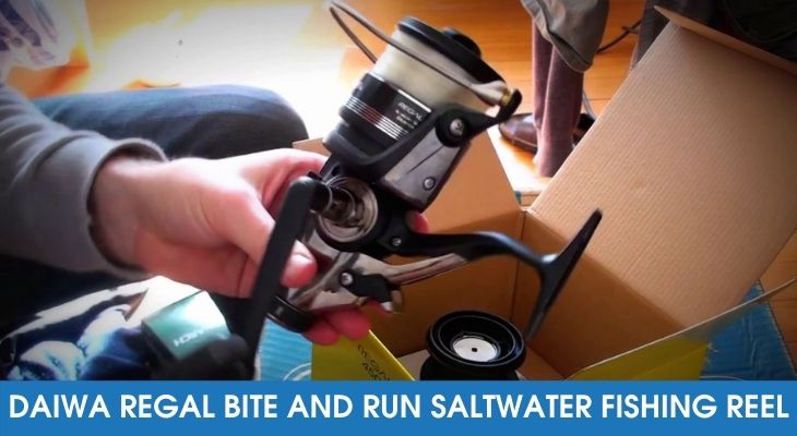 Daiwa Regal Bite and Run Saltwater Fishing Reel