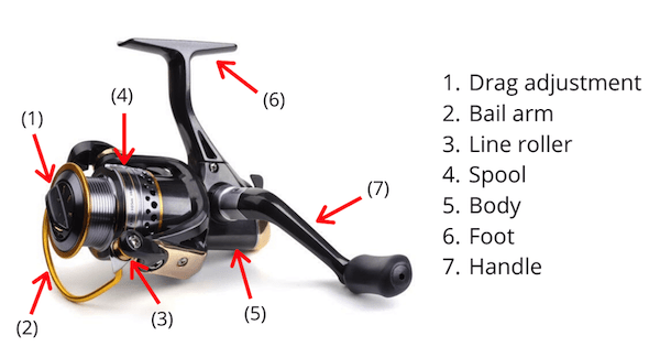 How to clean and oil a fishing reel